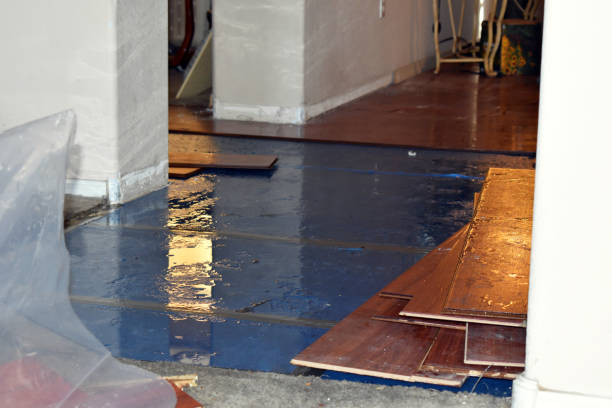 Professional Basement Flood Cleanup technician working in Hallsville, TX